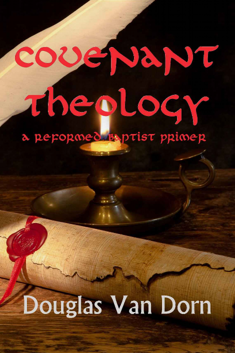 Cover of Covenant Theology by Douglas Van Dorn
